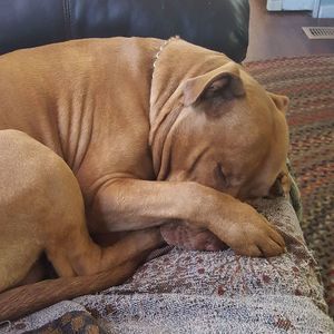 Meet your Posher, Kellie